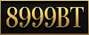 logo 8999BT